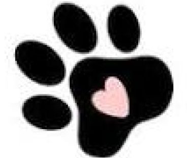 logo patte chat